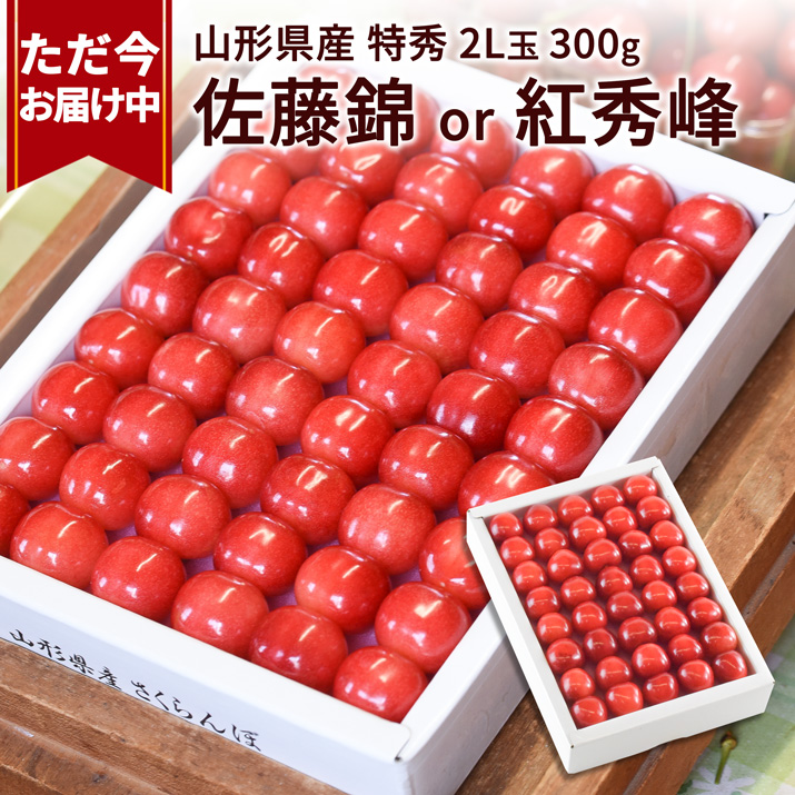 只今お届け中 さくらんぼ ギフト 佐藤錦 or 紅秀峰 2L玉 300g