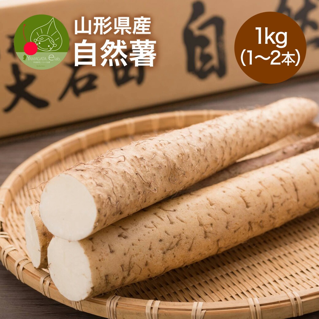 山形県産 自然薯 1kg 1〜2本