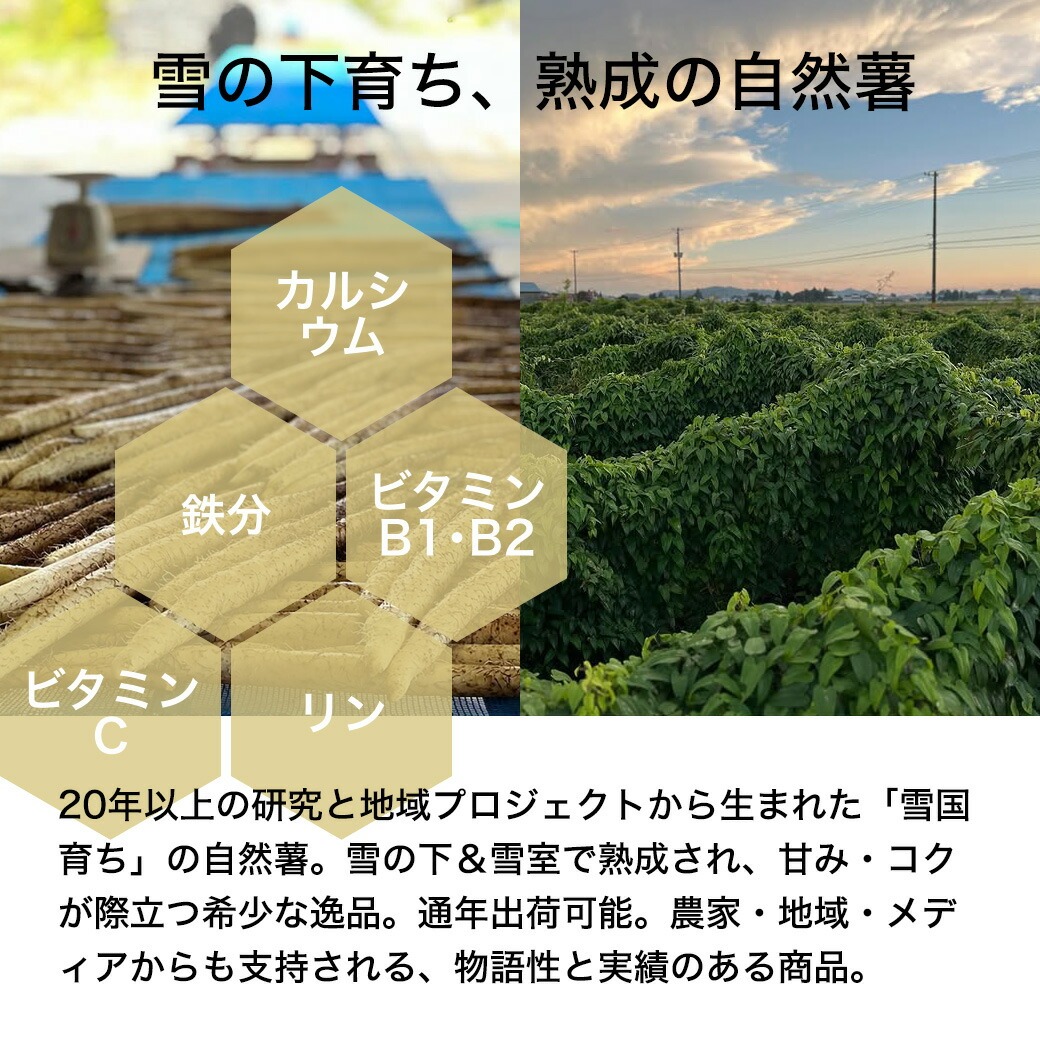 甘さとコクが別格 雪の下熟成の自然薯