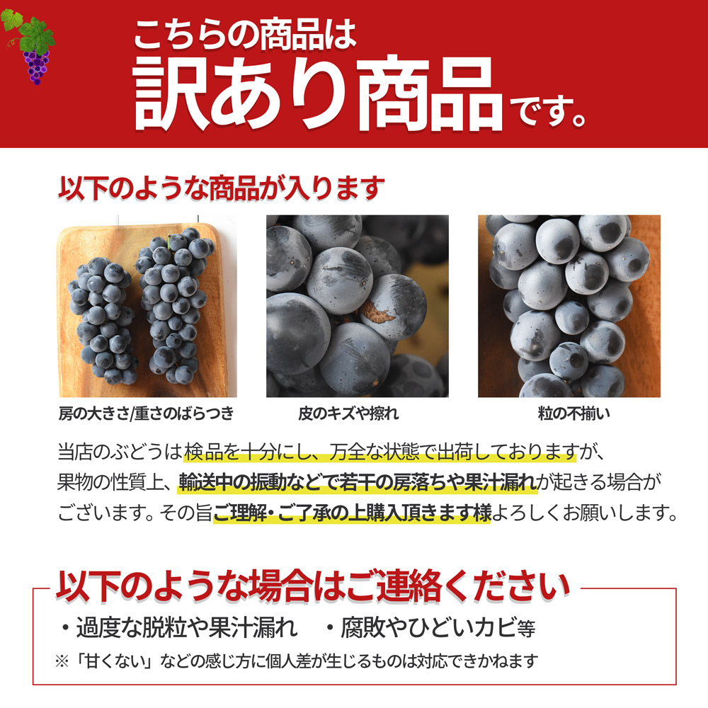 キャンベル ぶどう 訳あり M以上 約1kg ...の詳細画像5