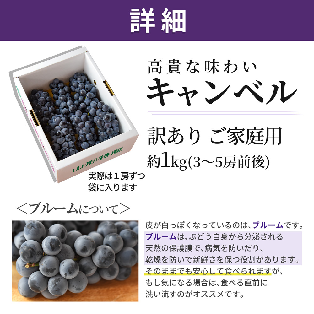 キャンベル ぶどう 訳あり M以上 約1kg 3〜5房前後 クール便 ブドウ