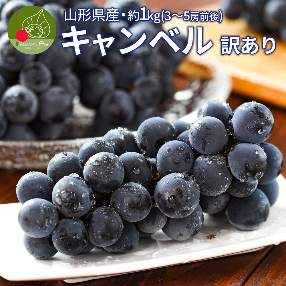 ぶどう」の人気商品一覧 | 安い商品を通販サイトから探す - 価格.com