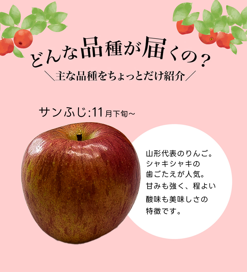 SALE！りんごちゃん　　リーフ りんごちゃん🍎 on X
