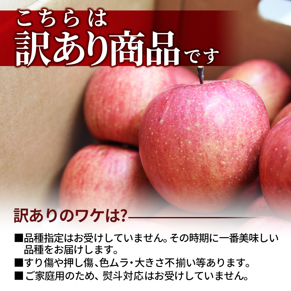 りんご 10kg ご家庭用 訳あり 品種お任せ 山形県産 サンふじ サン