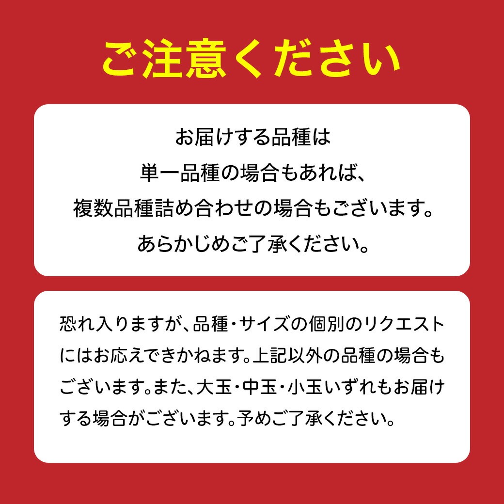 ご注意ください。 お届けする品種は単一品種の場合もあれば、複数品種詰め合わせの場合もございます。あらかじめご了承ください。 品種、サイズの個別のリクエストにはお応えできかねます。
