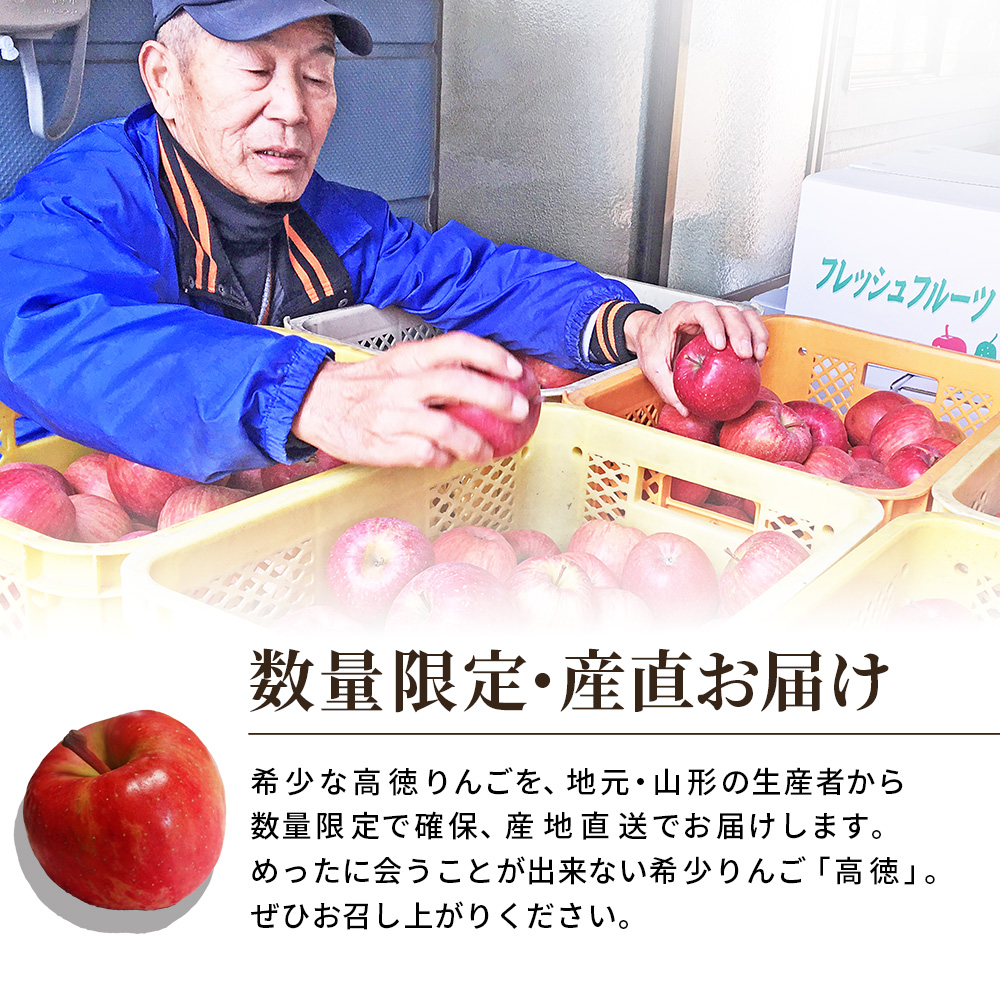 りんご 訳あり 高徳(こうとく) 3kg入り 約20〜30玉入り 山形県産 蜜