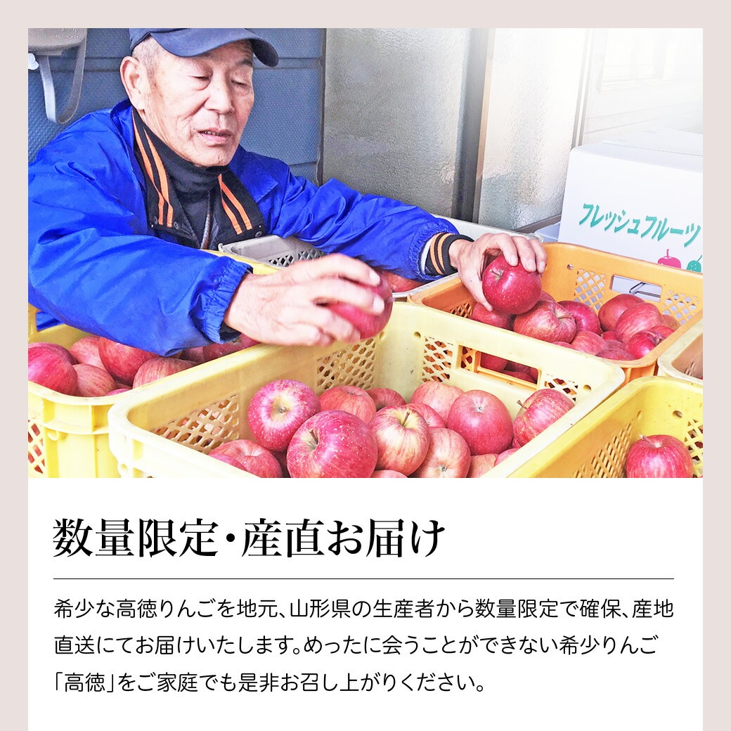 りんご 訳あり 高徳(こうとく) 3kg入り 約20〜30玉入り 山形県産 蜜