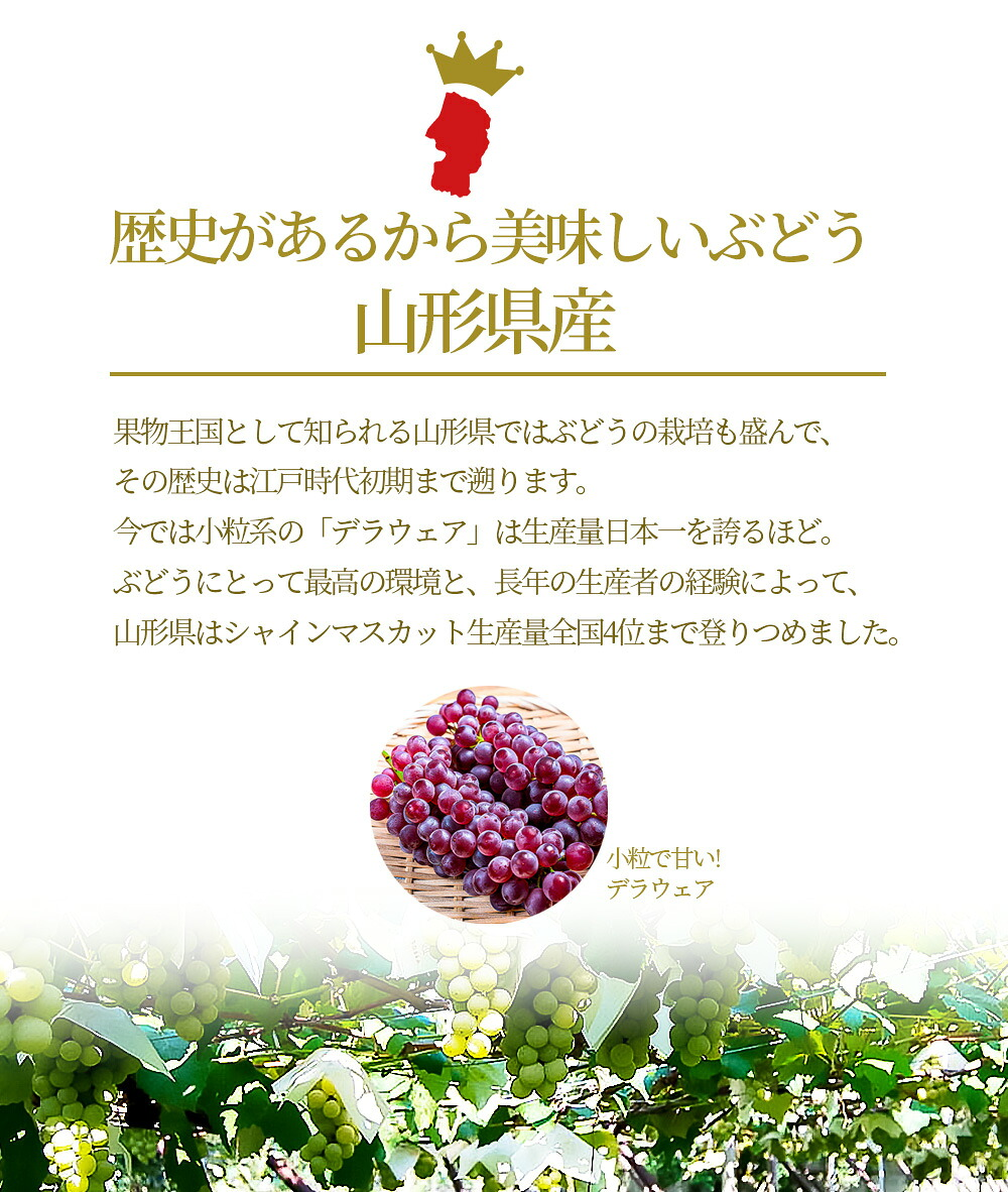 ぶどう 秀品 シャインマスカット 1房 (約600g前後) 山形県産 ギフト