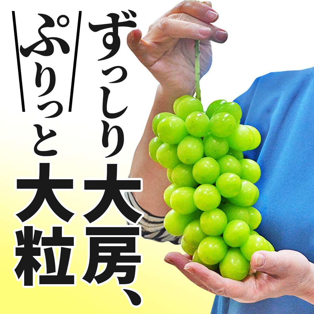 ぶどう 秀品 シャインマスカット 2房 (約9...の詳細画像1