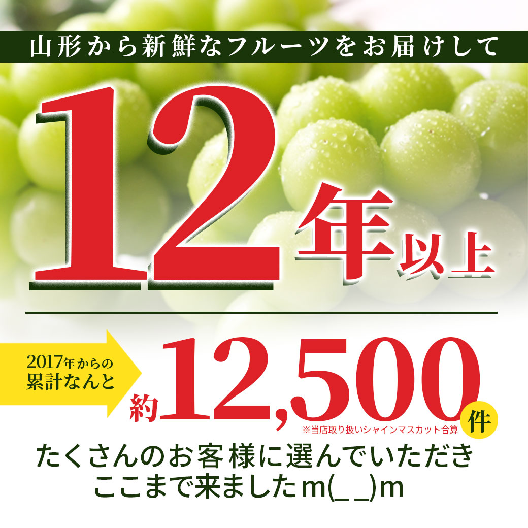 ぶどう 秀品 シャインマスカット 2房 (約9...の詳細画像2