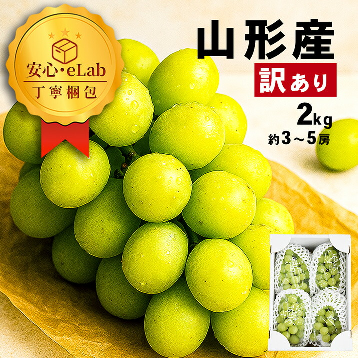 シャインマスカット 訳あり」の人気商品一覧 | 安い商品を通販サイト