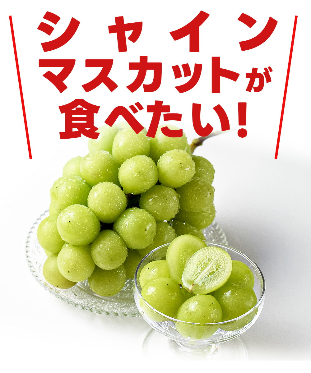 ぶどう 訳あり シャインマスカット 約1kg (2〜3房入り) 山形県産
