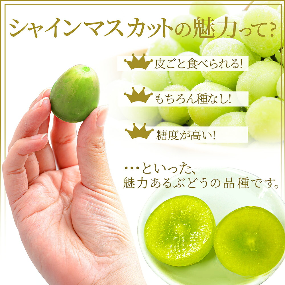 ぶどう 訳あり シャインマスカット 約1kg (2〜3房入り) 山形県産