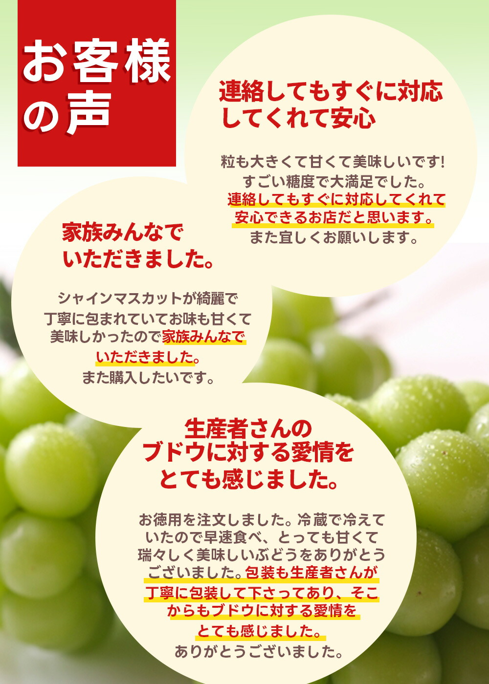 ぶどう 訳あり シャインマスカット 約1kg (2〜3房入り) 山形県産