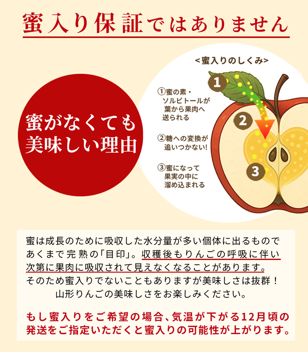 りんご 秀品 3kg ギフト サンふじ 山形県産 御歳暮 贈答用 リンゴ