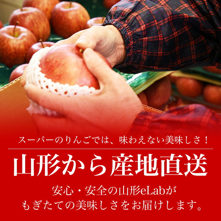 りんご 10kg ご家庭用 訳あり サンふじ ふじ 家庭用 山形県産 リンゴ