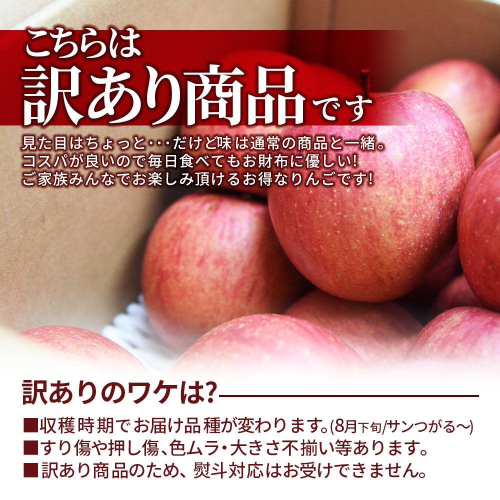 りんご 10kg ご家庭用 訳あり サンふじ ふじ 家庭用 山形県産 リンゴ