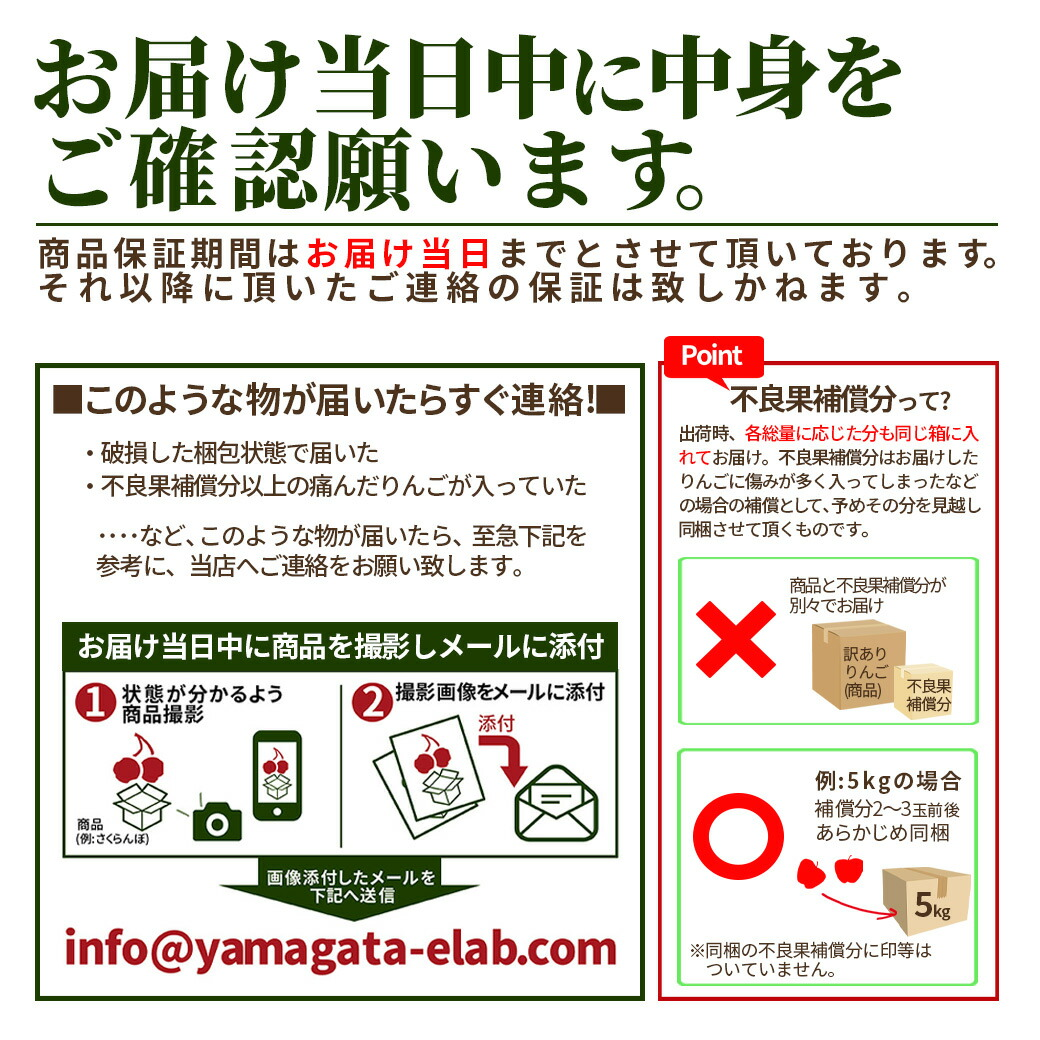 りんご 10kg ご家庭用 訳あり サンふじ ふじ 家庭用 山形県産 リンゴ