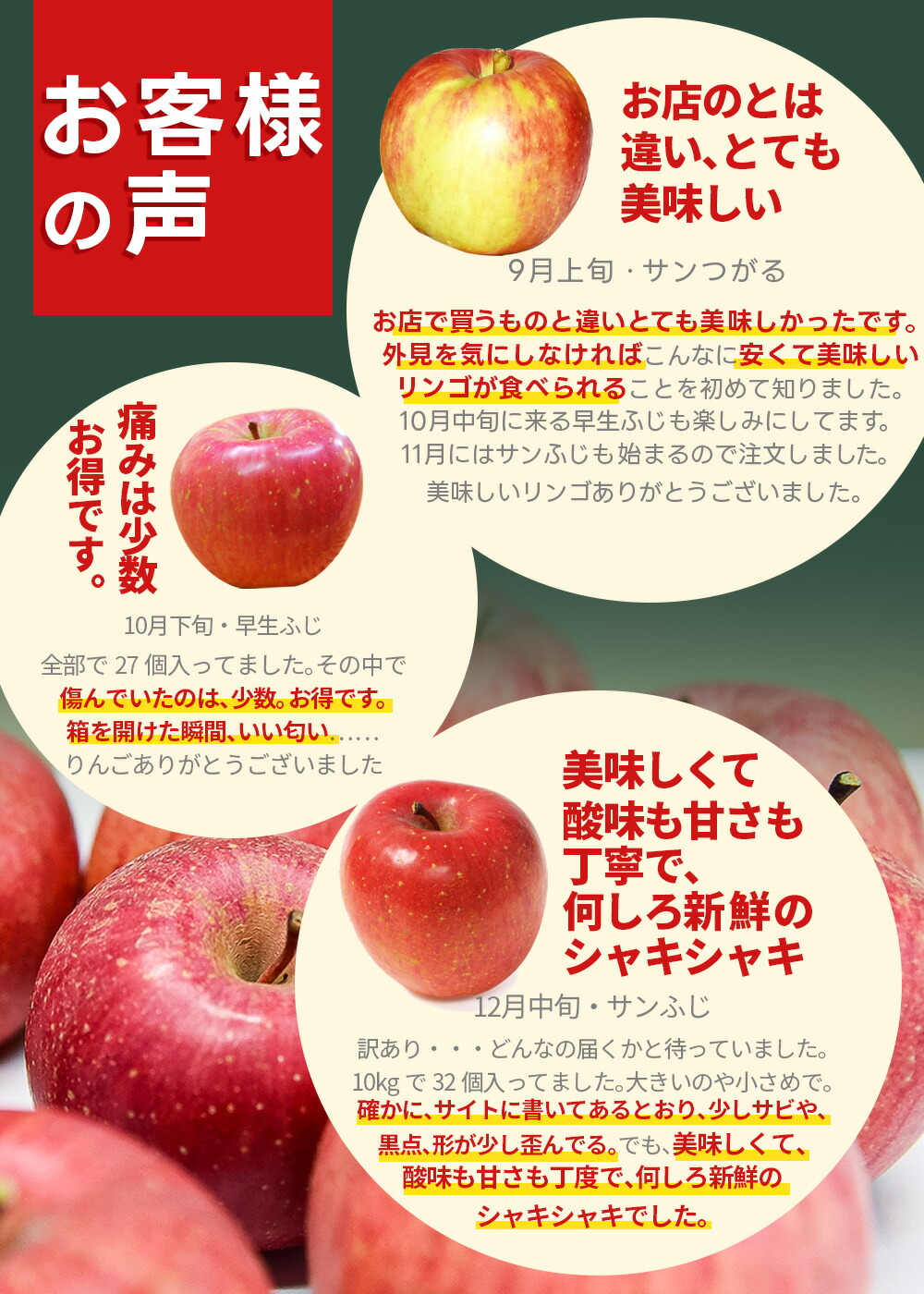 りんご 10kg ご家庭用 訳あり サンふじ ふじ 家庭用 山形県産 リンゴ