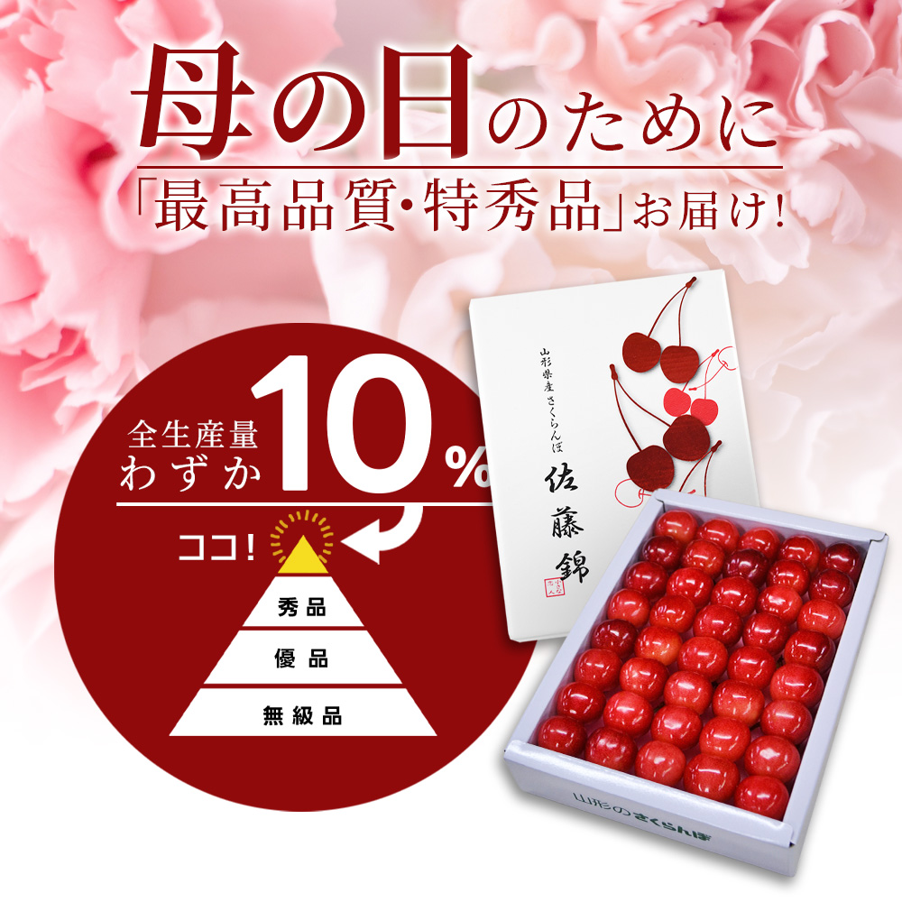 紅寿源　2箱 新品未開封品 只今お届け中 さくらんぼ ギフト 佐藤錦 or 紅秀峰 2L玉 300g 鏡詰め