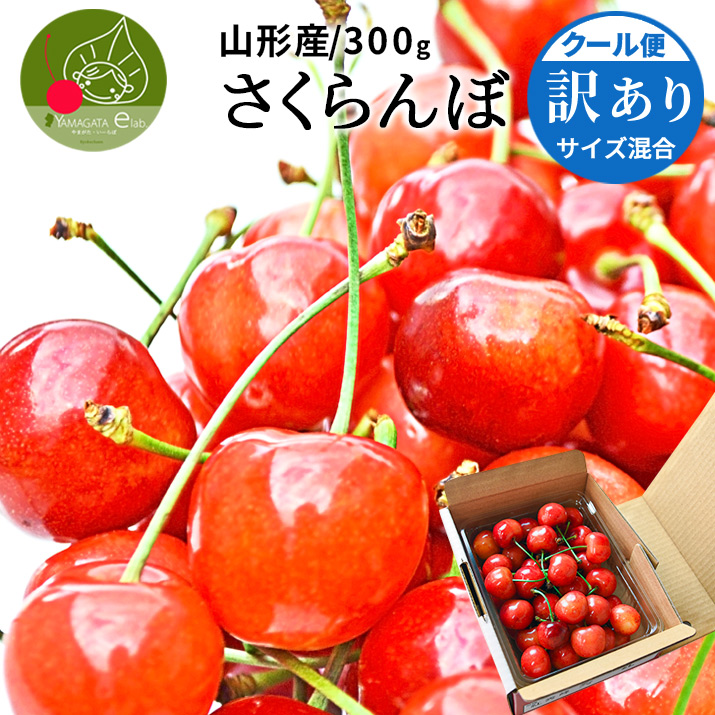 りんご 10kg ご家庭用 訳あり サンふじ ふじ 家庭用 山形県産 リンゴ