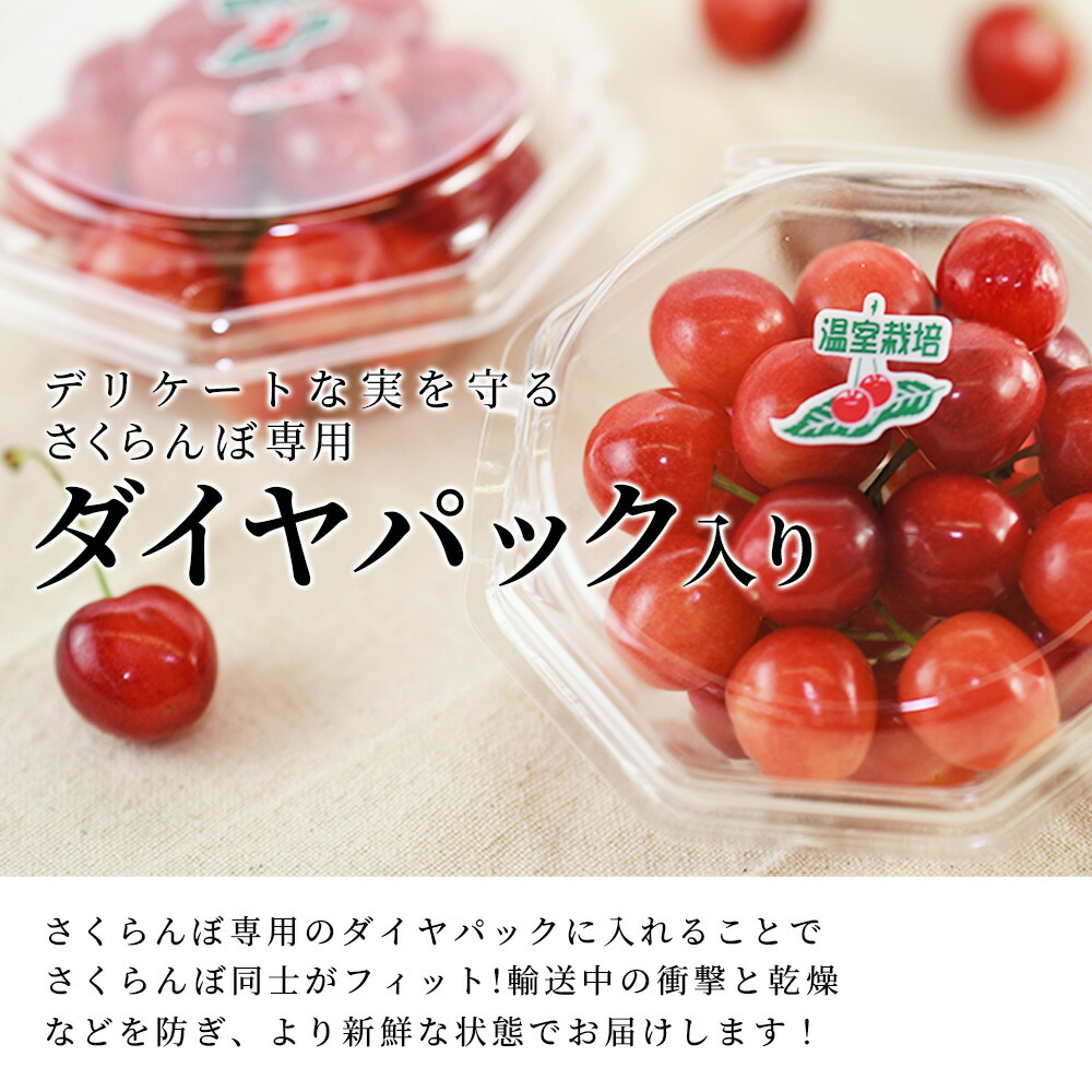 只今お届け中 さくらんぼ 佐藤錦 ダイヤモンドパック Mサイズ 200g