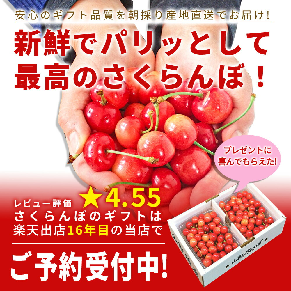 さくらんぼ 佐藤錦 1kg（500g×2） 秀品 ギフト 贈答 L/2Lサイズ 山形