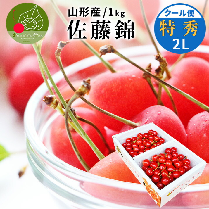 さくらんぼ 佐藤錦 1kg (500g×2)  特秀品 ギフト 贈答 2Lサイズ 山形 山形県産 お取り寄せ フルーツ サクランボ チェリー さくらんぼ 果物