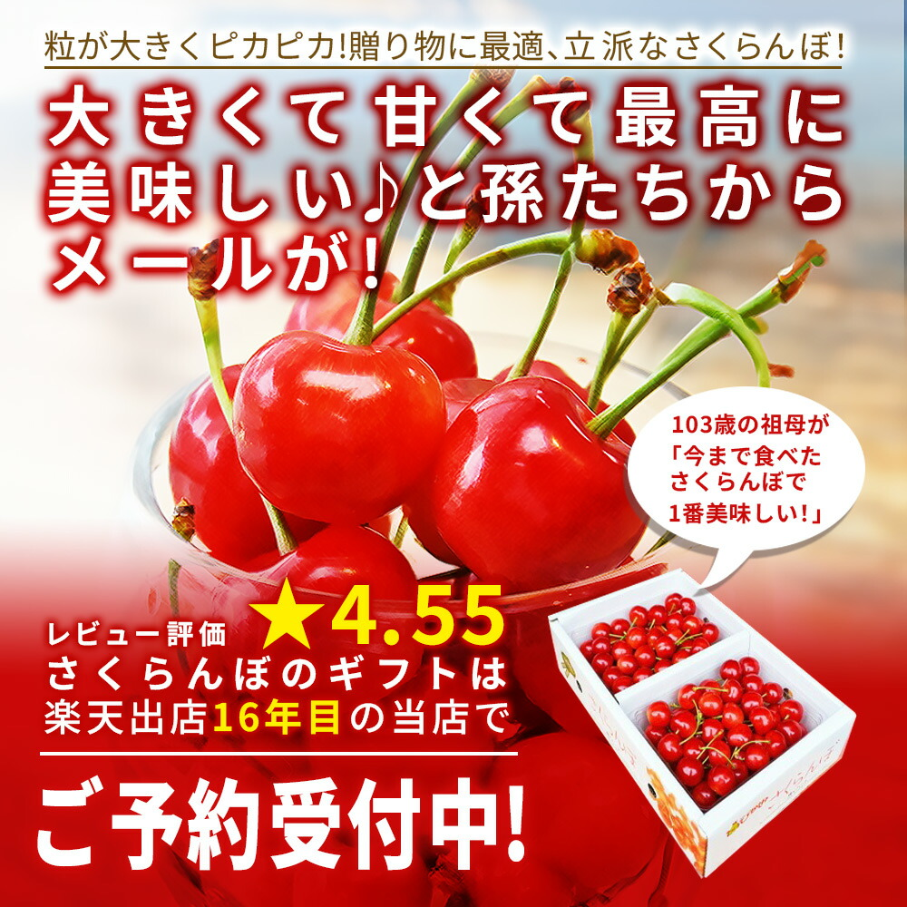 さくらんぼ 佐藤錦 or 紅秀峰 1kg (500g×2) 特秀品 ギフト 贈答 2L
