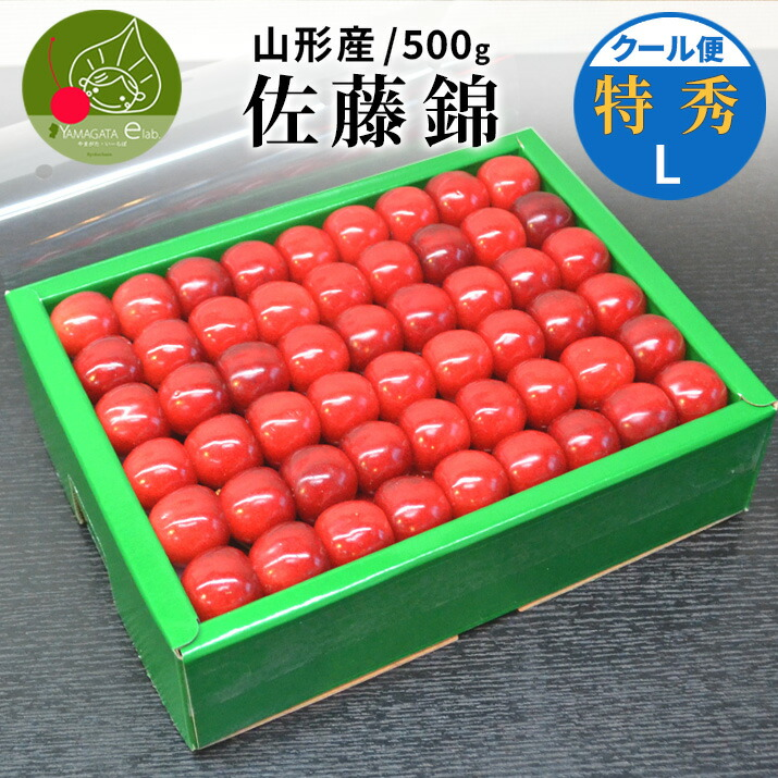 さくらんぼ 佐藤錦 or 紅秀峰 500g 特秀品 鏡詰め ギフト 贈答 Lサイズ 山形 山形県産 お取り寄せ フルーツ サクランボ チェリー 送料無料