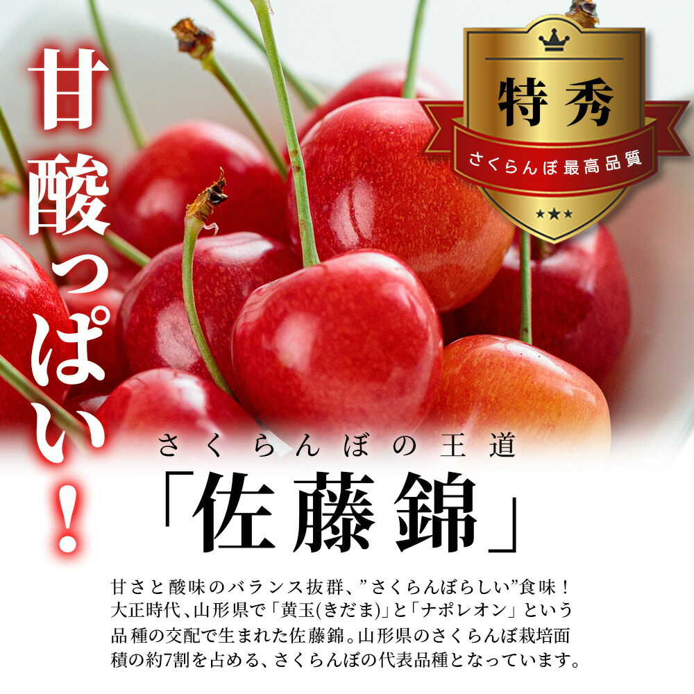 さくらんぼ 佐藤錦 or 紅秀峰 500g 特秀品 鏡詰め ギフト 贈答 2L