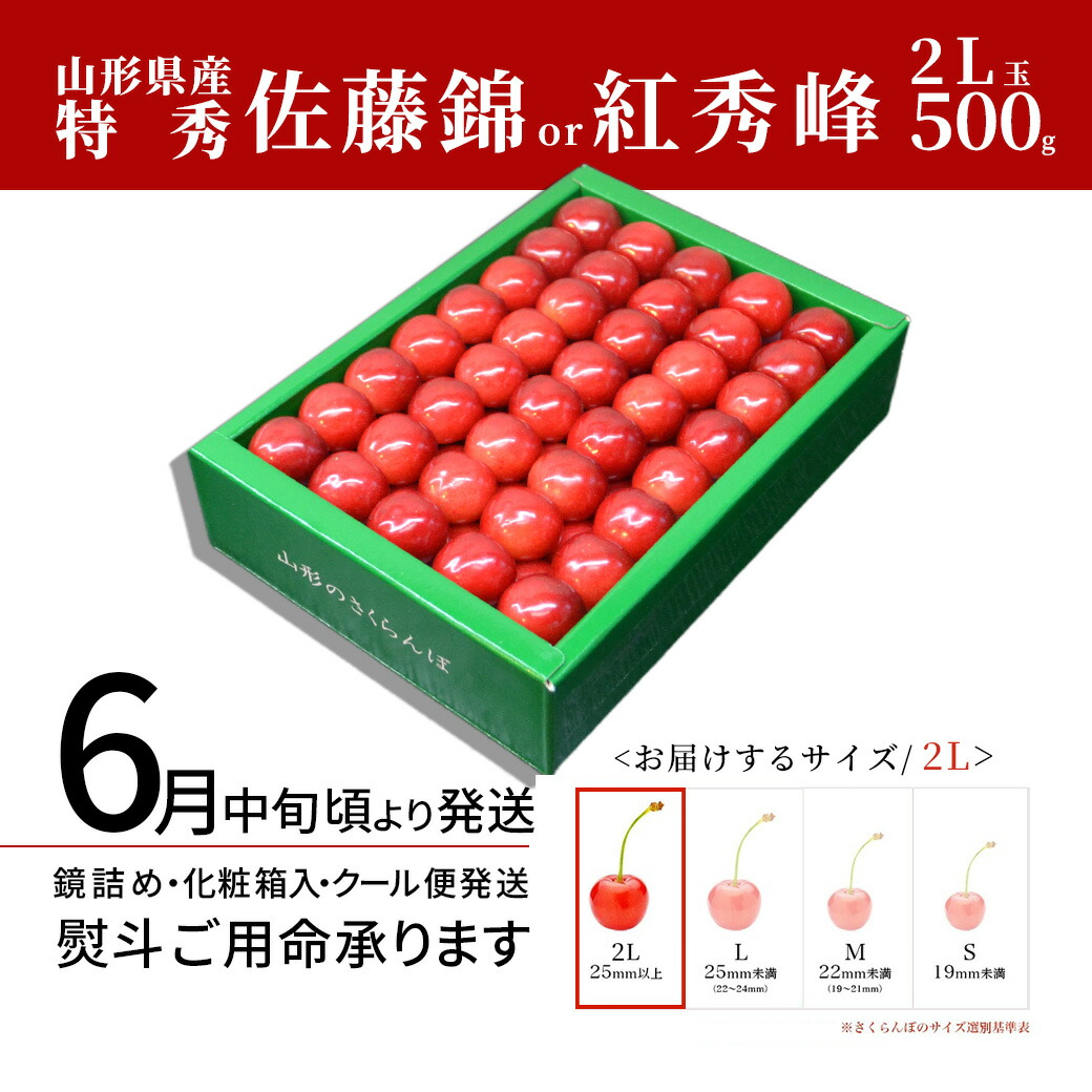 さくらんぼ 佐藤錦 or 紅秀峰 500g 特秀品 鏡詰め ギフト 贈答 2L