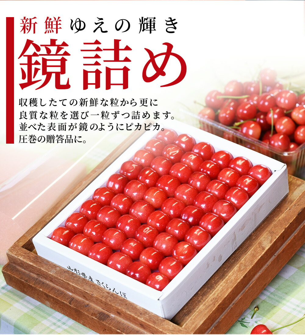 只今お届け中 さくらんぼ ギフト 佐藤錦 or 紅秀峰 2L玉 300g 鏡詰め