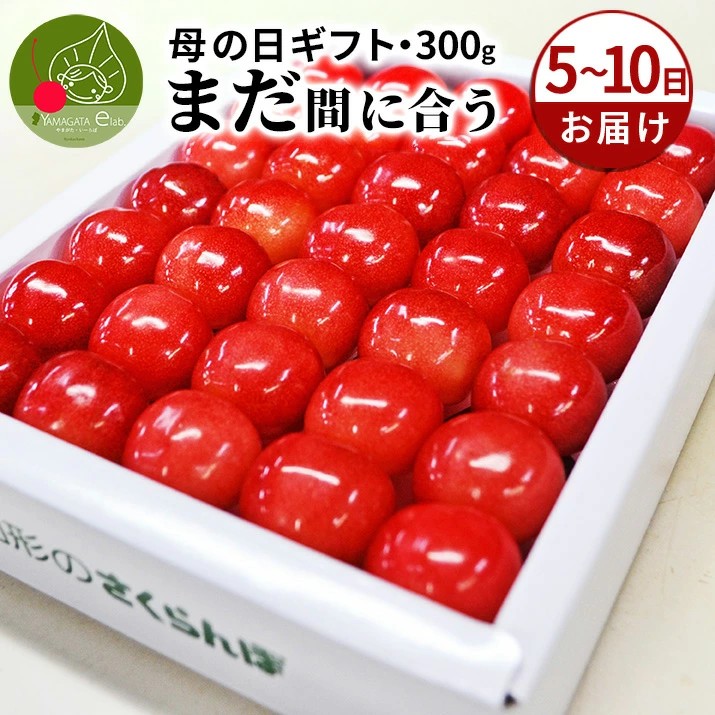 備蓄米 約5年 長期 保存 つや姫 2kg×5袋 無洗米 令和7年産 保存食 非常