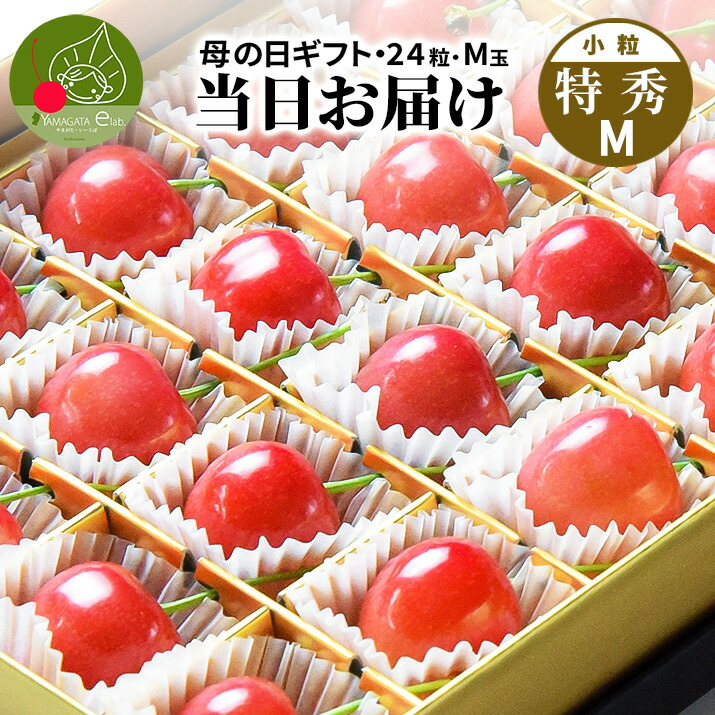 さくらんぼ 佐藤錦 母の日 送料無料」の人気商品一覧・価格比較 - 価格.com