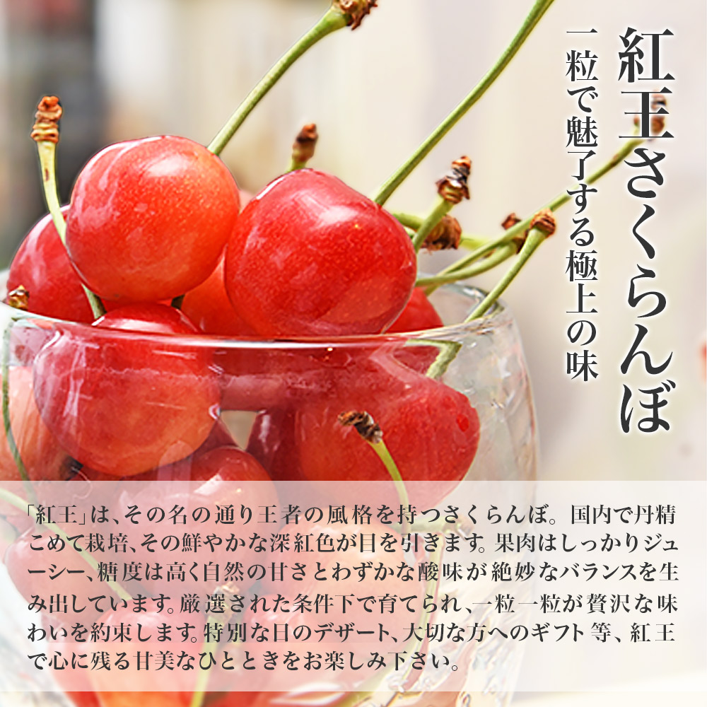 山形県産 さくらんぼ 紅王 秀品 3L 100g×2パック ギフト箱入り大粒 2L
