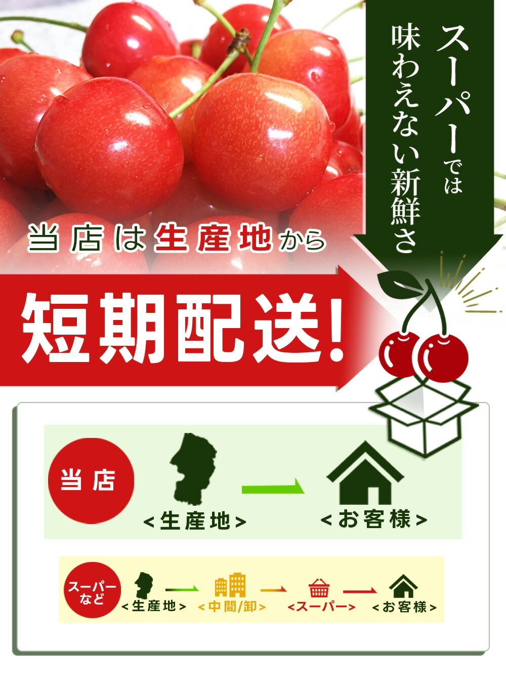 山形県産 さくらんぼ 紅王 秀品 3L 100g×2パック ギフト箱入り大粒 2L
