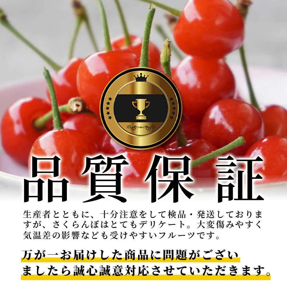 山形県産 さくらんぼ 紅王 秀品 3L 100g×2パック ギフト箱入り大粒 2L