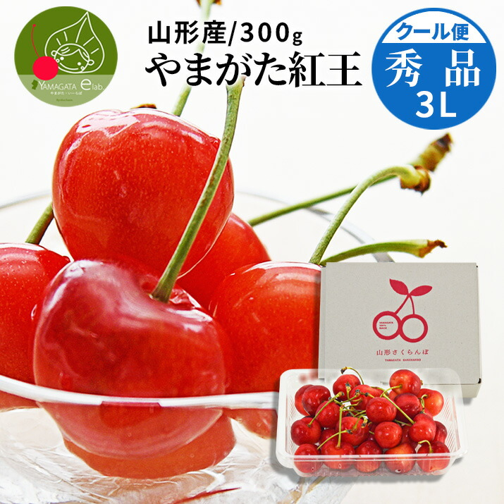 �R�`���Y �������� �g�� �G�i 3L 300g �o���l�� (25�`30��) �M�t�g ������ �嗱 2L �ȏ� ���ϔ��� �Y�n���� �������� �ʕ� ������ �䒆��