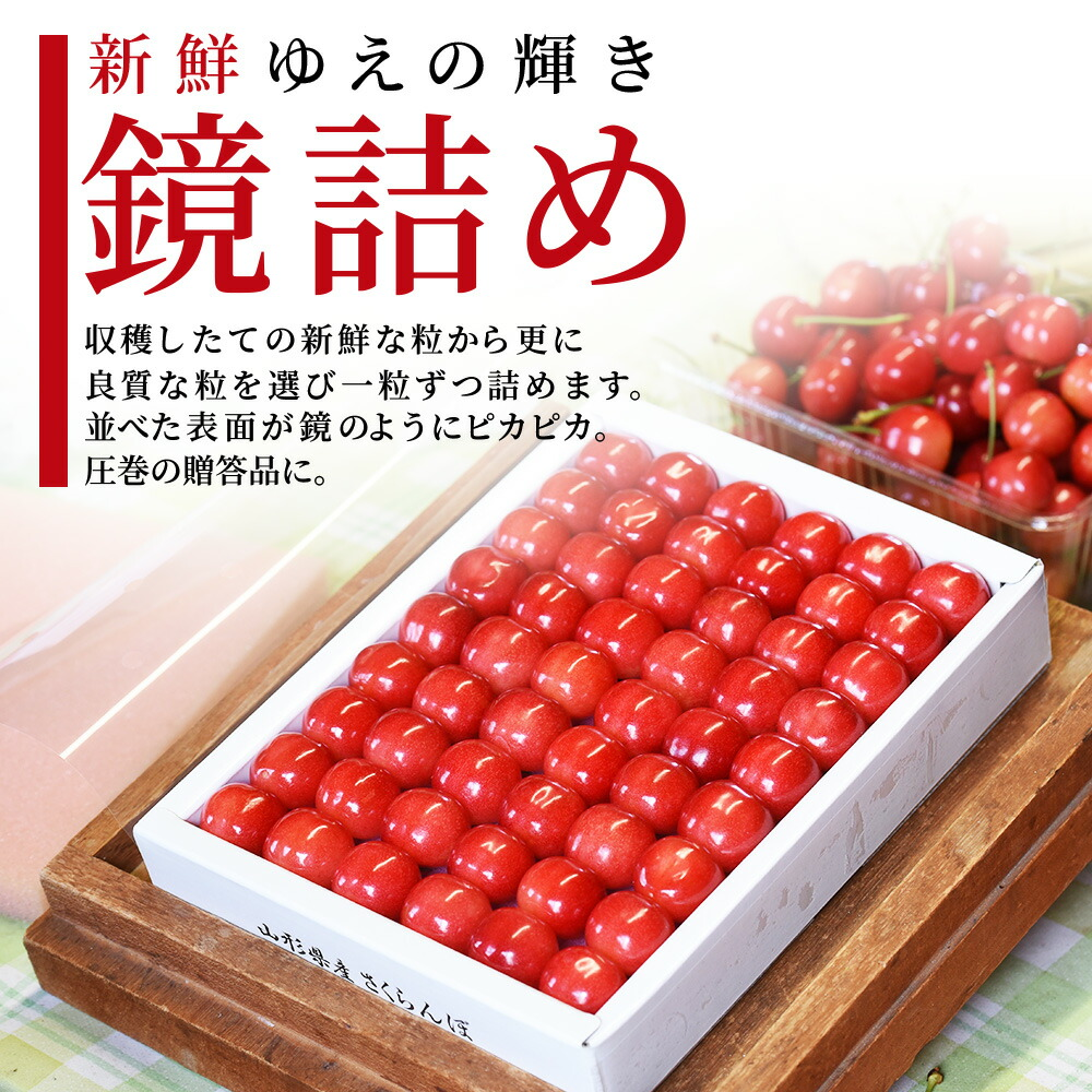 父の日 ギフト さくらんぼ 佐藤錦 or 紅秀峰 L玉 300g 鏡詰め 山形 特