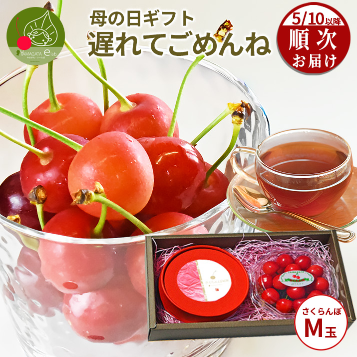 遅れてごめんね 母の日 ギフト さくらんぼ 佐藤錦 M玉 100g