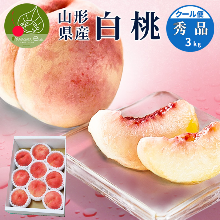 �� �G�i ���� 3kg ��9�ʑO�� �R�`���Y �M�t�g �� ���� ���蕨 �v���[���g ������ �쒆�� �� �������� �������Z �N�[����
