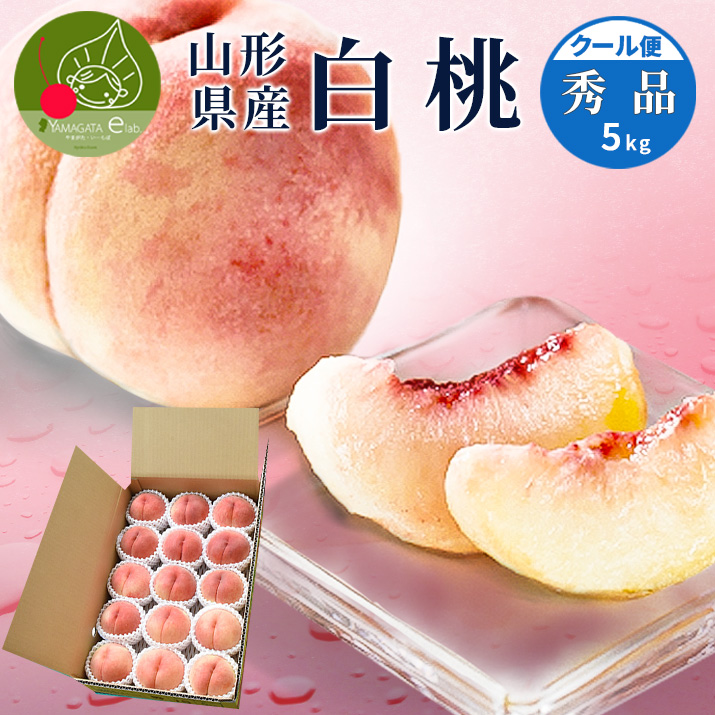 �� �G�i ���� 5kg ��18�ʑO�� �R�`���Y �M�t�g �� ���� ���蕨 �v���[���g ������ �쒆�� etc �������� �N�[����