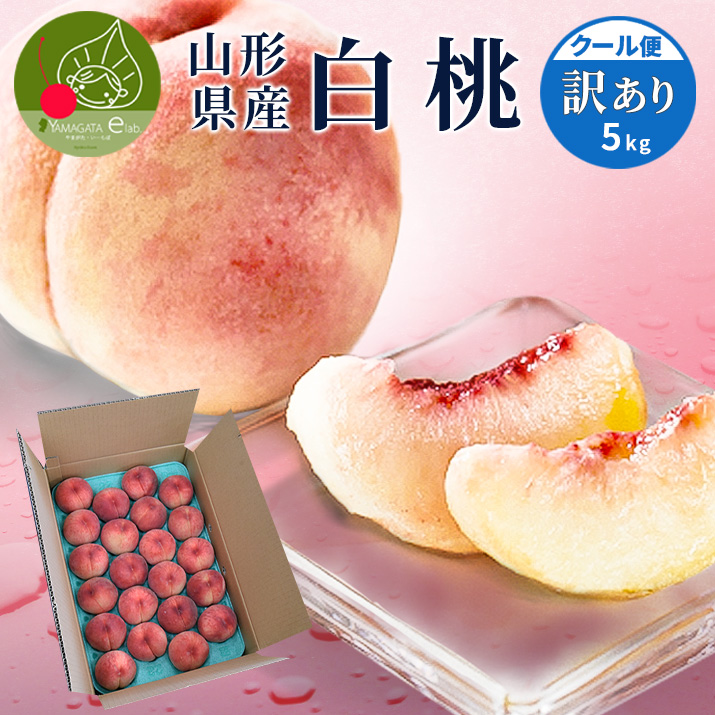 �� �󂠂� ���� 5kg 16�`22�ʑO�� �R�`���Y �����p ���ƒ�p �킯���� ���� �����s�� �i�킨�C�� �������� �N�[���֔���