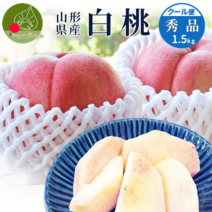 山形県産 白桃 秀品 約1.5kg (6玉前後) クール便 固い桃 柔らかい桃
