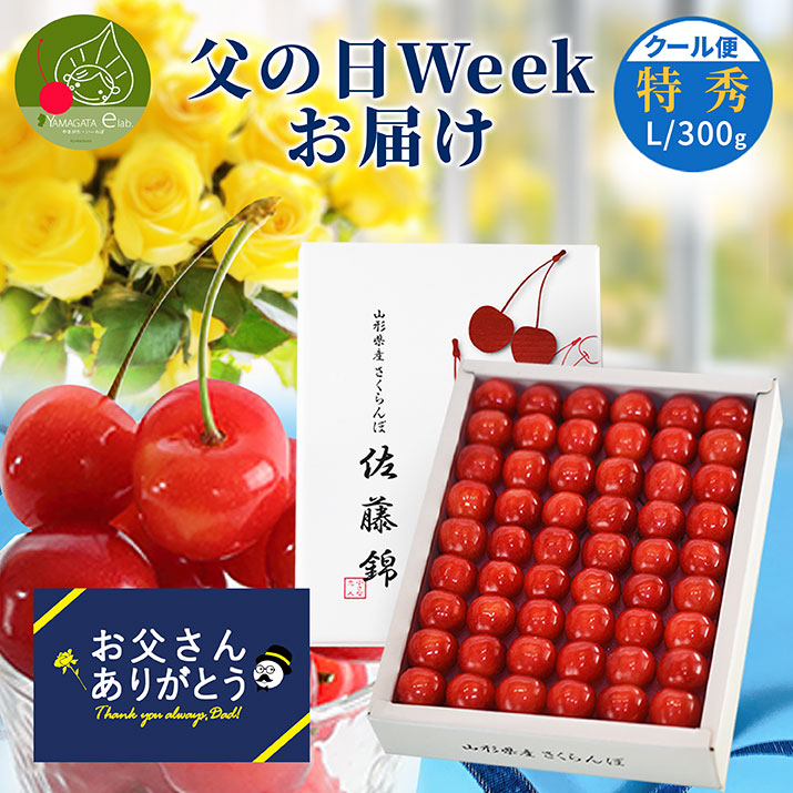 さくらんぼ 佐藤錦 300g」の人気商品一覧 | 安い商品を通販サイトから