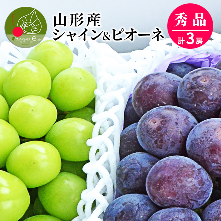 シャインマスカット 2kg」の人気商品一覧・価格比較 - 価格.com