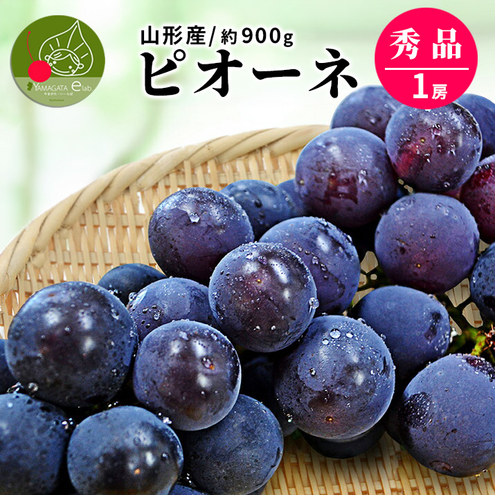 ピオーネ 大粒」の人気商品一覧・価格比較 - 価格.com