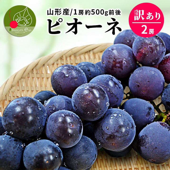 ピオーネ 大粒」の人気商品一覧・価格比較 - 価格.com