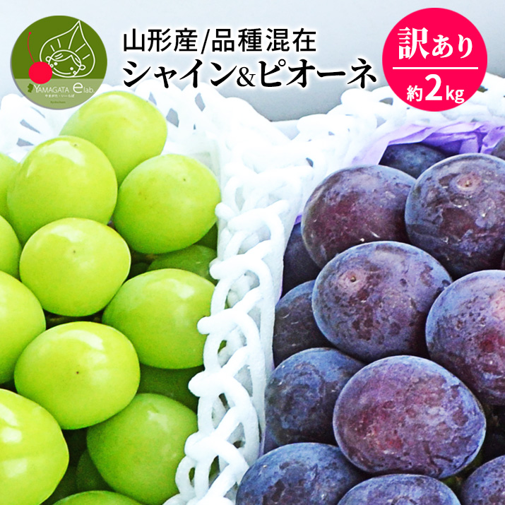 山形県産 お徳用 大粒ピオーネ 2房 & シャインマスカット 合計約2kg